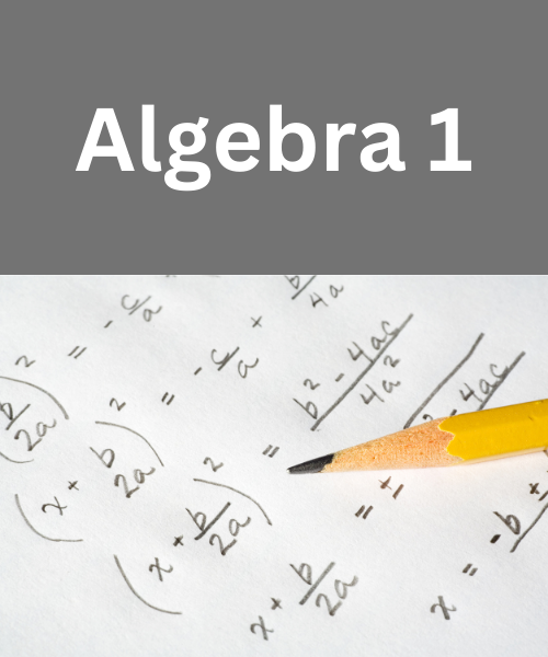algebra 1